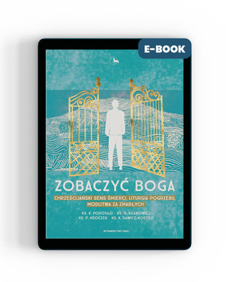 Zobaczyć Boga - ebook